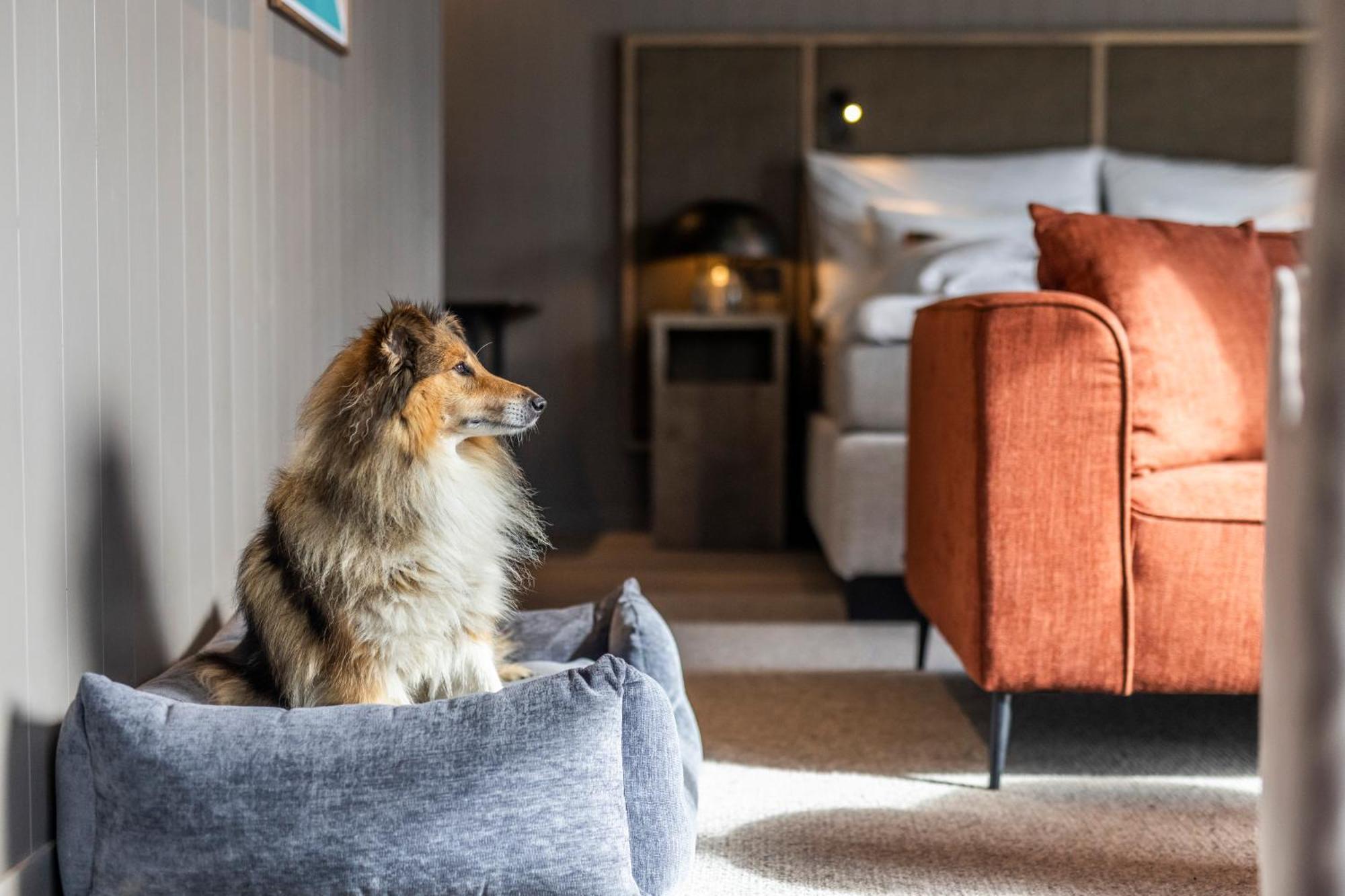 Henningsvaer Bryggehotell - By Classic Norway Hotels Zewnętrze zdjęcie